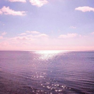 im电竞官网下载手机版