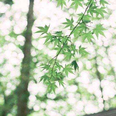 爱体育官方截图